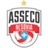 Asseco Resovia Rzeszów
