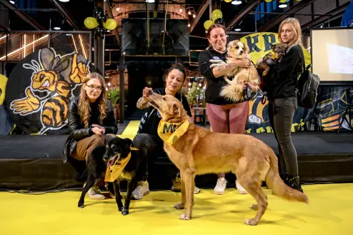 PGE GiEK Skra z pomocą dla bezdomnych zwierząt! Schronisko w Piotrkowie Trybunalskim wsparte na prezentacji drużyny