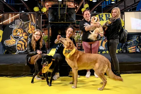 PGE GiEK Skra z pomocą dla bezdomnych zwierząt! Schronisko w Piotrkowie Trybunalskim wsparte na prezentacji drużyny