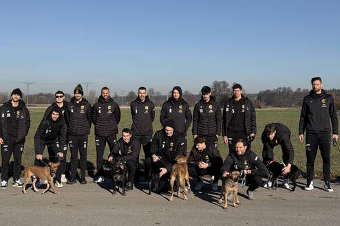 Siatkarze PGE GiEK Skry Bełchatów wspierają schronisko dla zwierząt