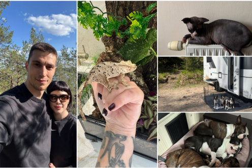 Klemen Čebulj o domowym mini zoo: Zwierzęta to nasz styl życia