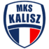NETLAND MKS Kalisz