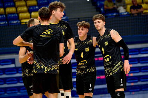 PGE GiEK Skra gra i pomaga bezdomnym zwierzętom
